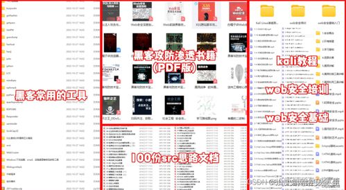 網(wǎng)絡(luò)安全與黑客技術(shù) 自學(xué)計(jì)算機(jī)軟硬件的全面指南